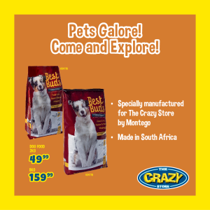 30593_TCS_Digital PETS Paid Media - Carousel 2 Card4